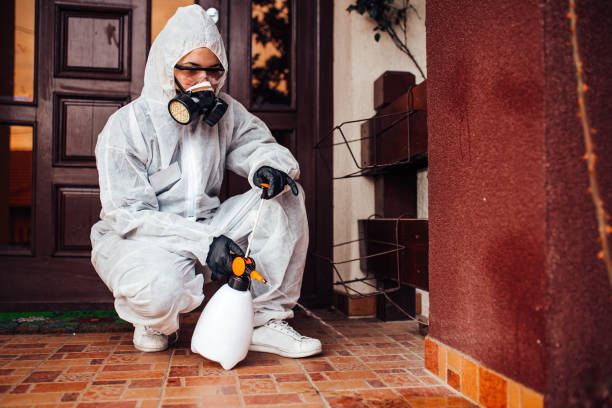 Reliable Wasp Removal contractor in Gainesville, FL by Show Me Pest Control